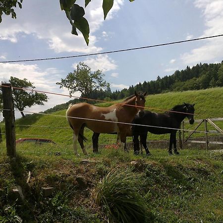 Bed And Breakfast Spelca Pivka Eksteriør billede